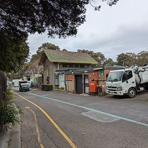Historic Abattoir and ramp, 20/7/24