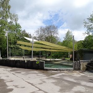 Cape fur seal enclosure