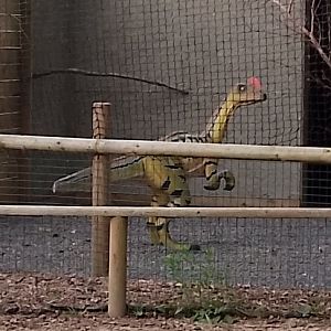 Dinosaur in aviary