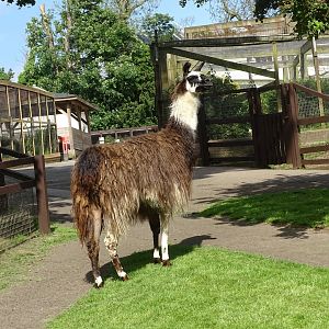 Lisa Marie, 6th June 2024