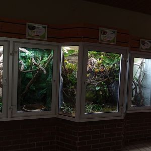 Tropenhaus: Terraria