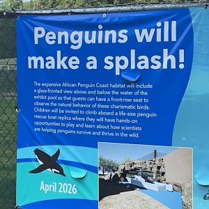 African Experience Construction