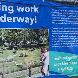 African Experience Construction