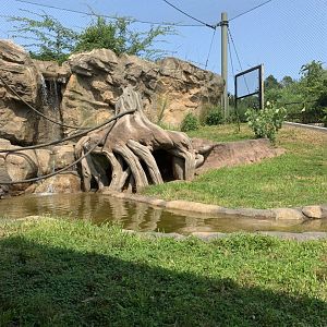 Gorilla Grove exhibit