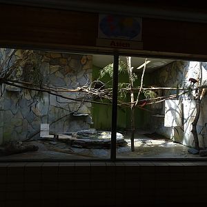 TropenHaus : Eclectus parrot enclosure