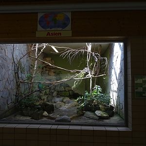 TropenHaus : Asian enclosure