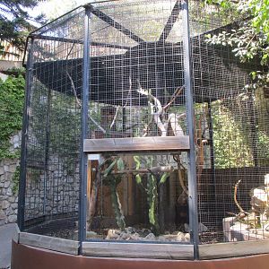 Bird cage