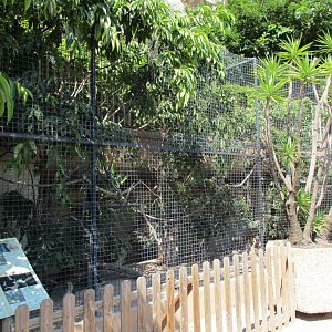 Aviary