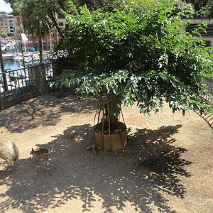 South American exhibit