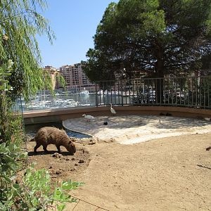 South American exhibit