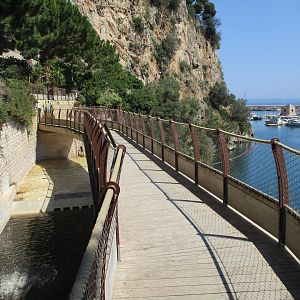 Walkway over the hippo enclosure