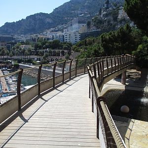 Hippopotamus enclosure