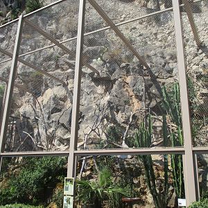 Macaw and squirrel monkey aviary