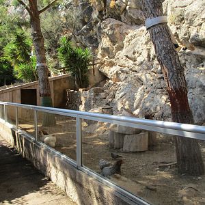Enclosure on the rockside.