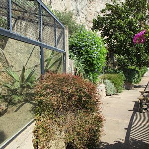 Closed part of the zoo