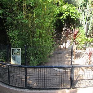 Small tortoise exhibit