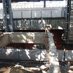Demolition of the jubilee complex - Preserved concrete frame near meerkat exhibit and staff road next to station,  2024-07-28