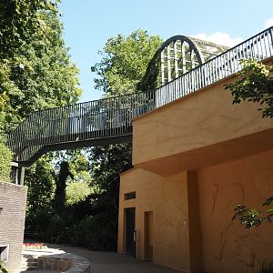 Hippo house and Hippo house aviary upper viewing area renovations - Renovated facade, railings for new viewing area and new bridge, 2024-07-28