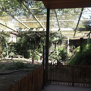 Renovated lower viewing area for Hippo house aviary, 2024-07-28