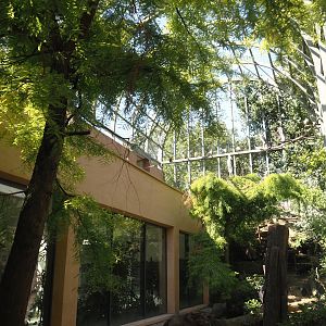 Higher part of the hippo house aviary with renovated facade and nesting area, 2024-07-28