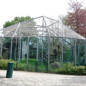 Chimpanzee House: Chimpanzee outdoor enclosure