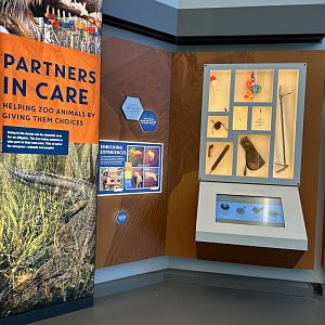 Veterinary information