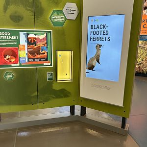 Black Footed Ferret Kiosk