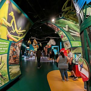 Walkway between galleries