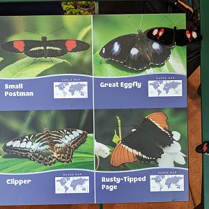 Butterfly garden signage