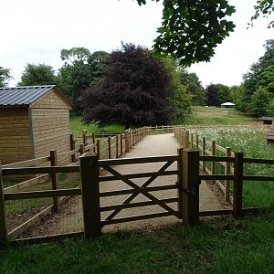 Another view of the zoo extension, 25th July 2024