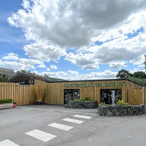 Entrance : Crocodiles of the World : 28 Jul 2024