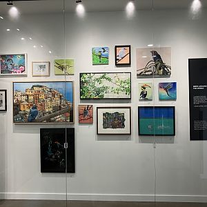 Hanifl Family Nature Center - Flightlines Art Gallery