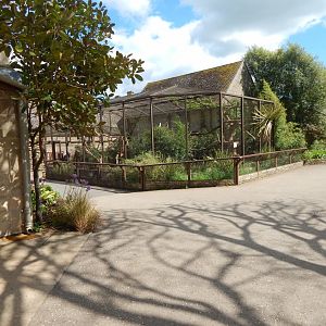 Binturong exhibit 150524