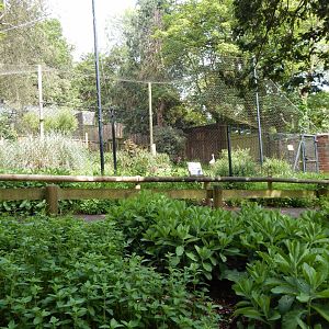 Oriental stork aviary 170524