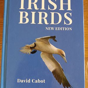 Irish Birds