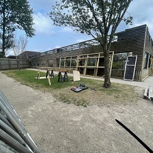 Primate Exhibits Under Improvement