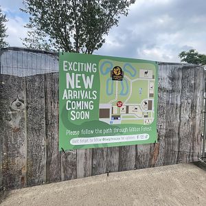 New Species Arriving Soon!