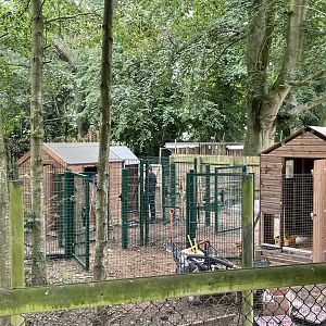 New Exhibit Being Built