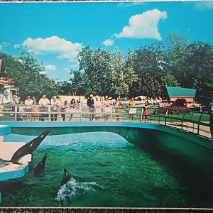 Story Book Gardens Sea Lion Pool Postcard