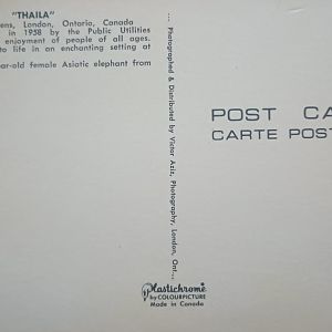 Reverse Story Book Gardens Baby Elephant