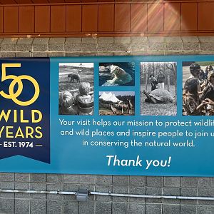 50 Wild Years Banner