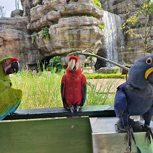 Colours of the Wetlands