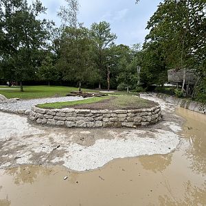 Blackbuck enclosure construction update