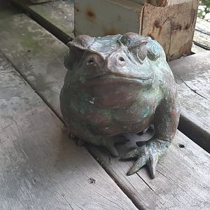 Cane Toad Sculpture
