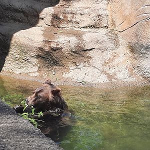 Having a snack and taking a swim