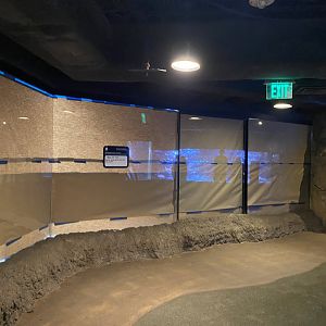 New Exhibit in Natural Encounters