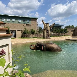 Thailand In The Water