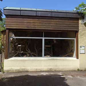 Swinhoe's striped squirrel enclosure (Tropenhalle)