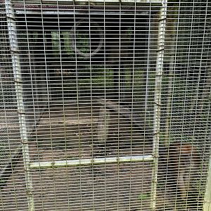 Assam Macaque Cage