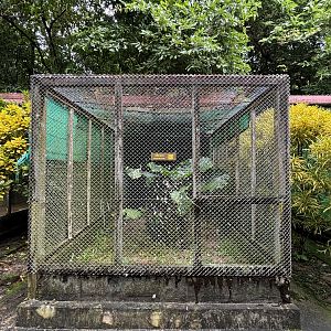 Mountain Hawk-Eagle Aviary
